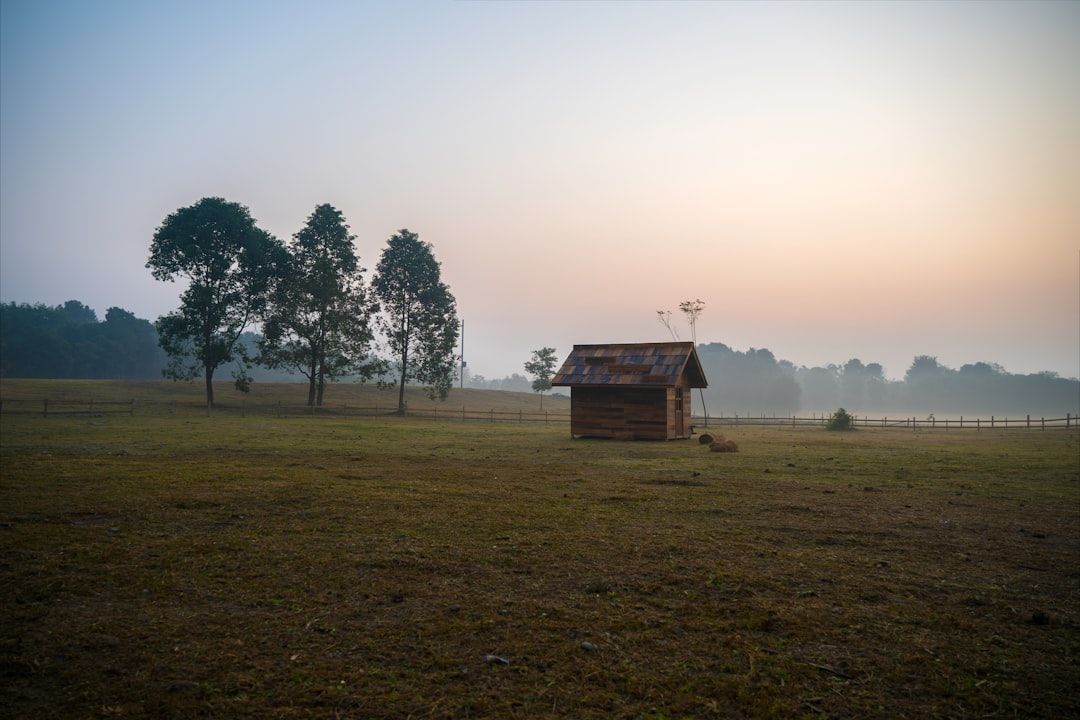 glamping tent exterior morning mist countryside