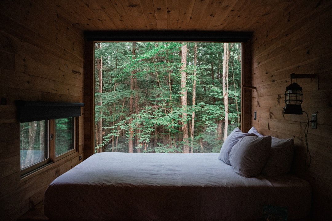 treehouse interior bed mirror windows