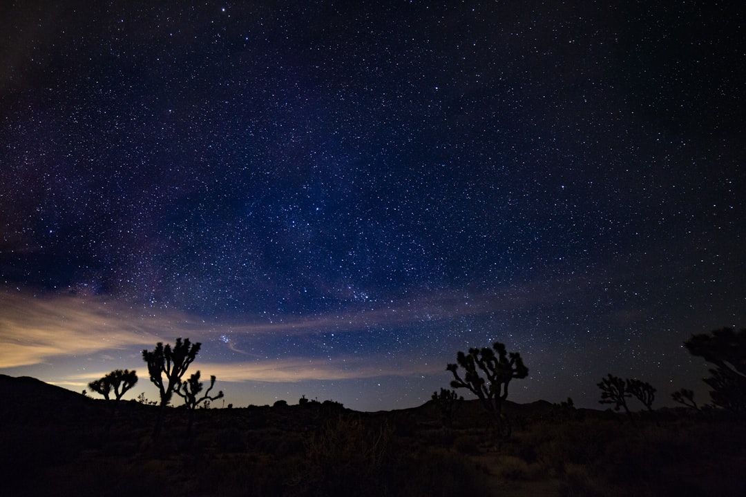 Glamping Near Joshua Tree: Desert Heat, Dark Skies and Where to Book