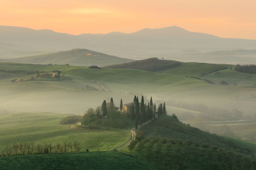 tuscany countryside hills cypress trees