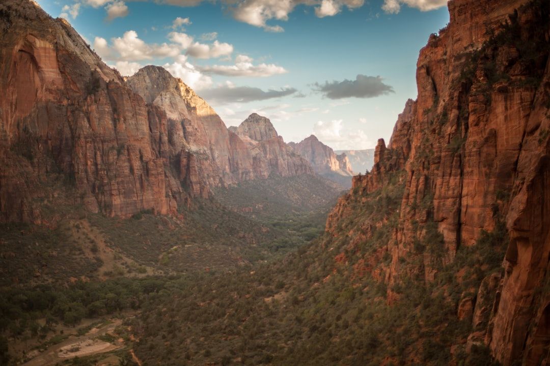 Zion food