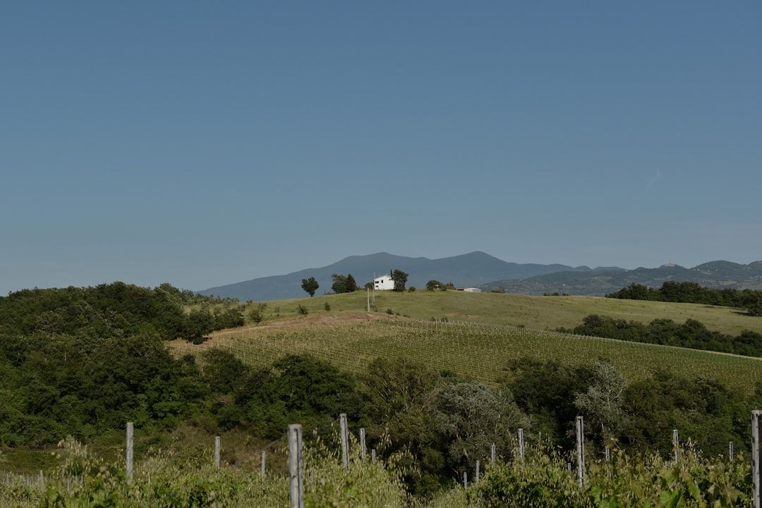 The Airstream Was Parked Next to a Vineyard. The Wine Was Free. The Bathroom Was a Bucket.