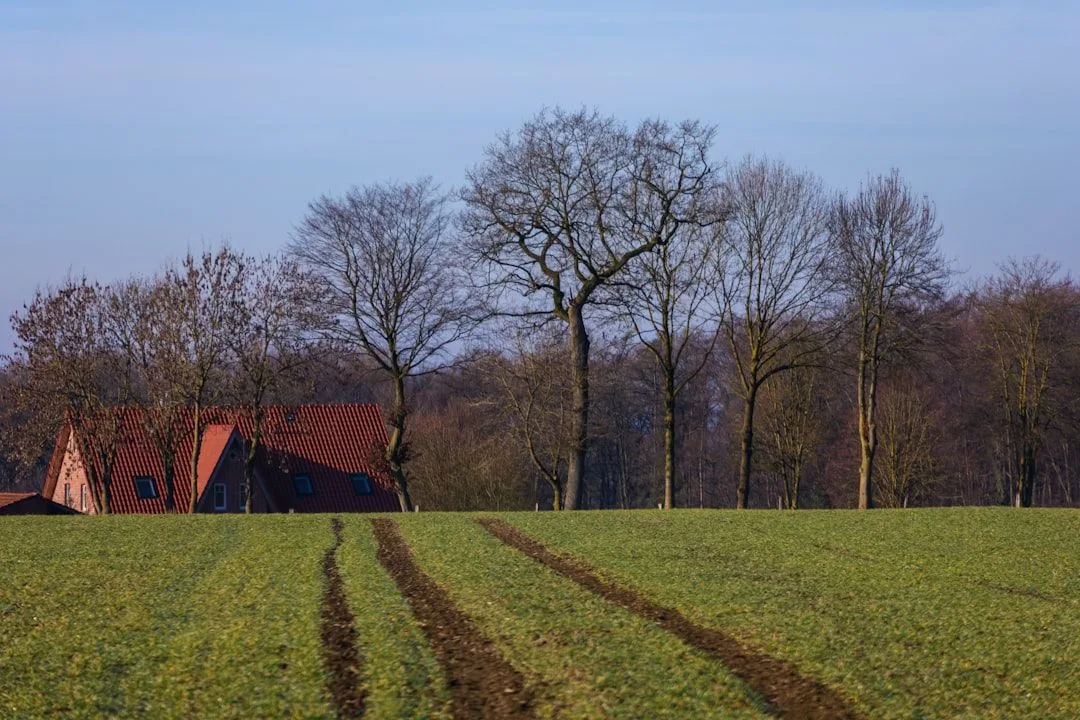 How to Choose a Glamping Site: The Ten Factors That Decide It