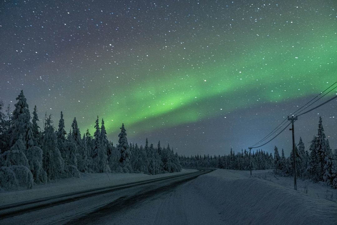 swedish forest northern lights winter