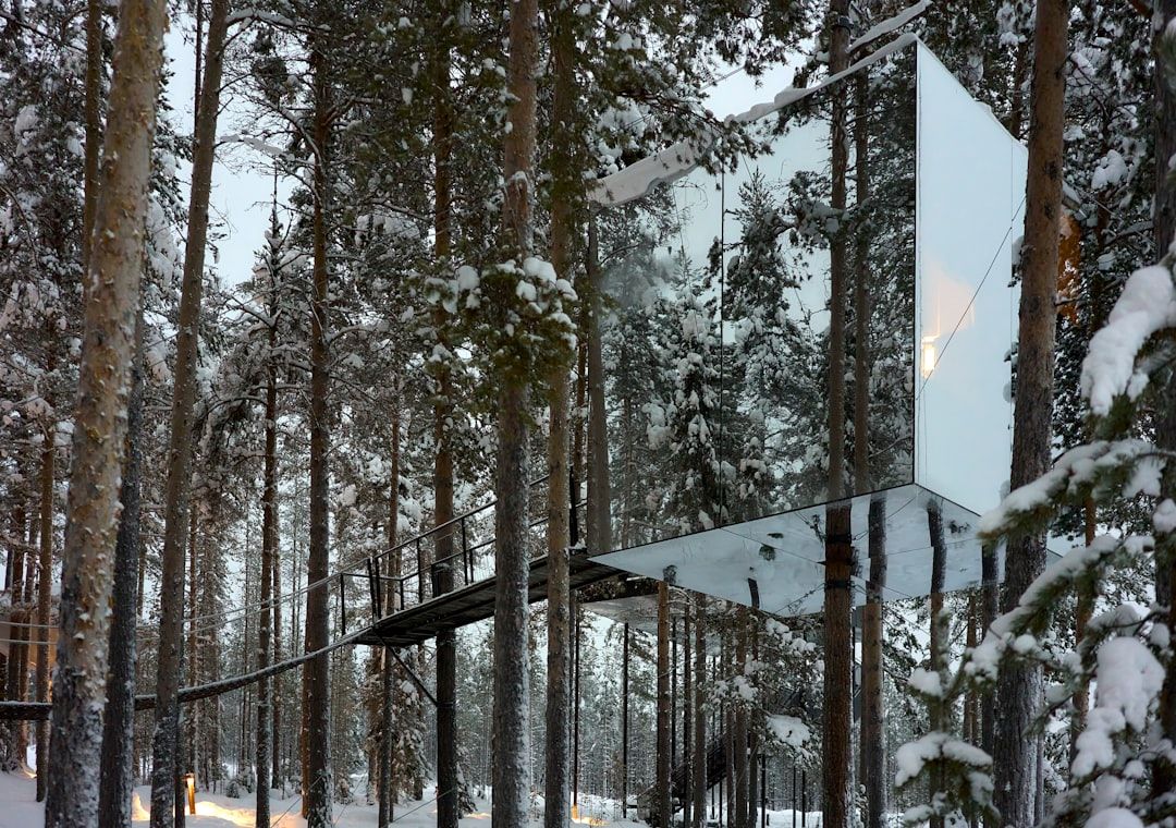 We Paid €1,200 for a Treehouse in Sweden. My Partner Wants to Go Back. I Have Notes.