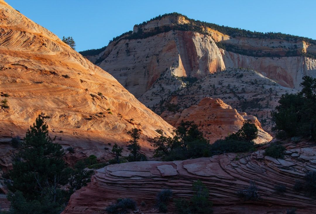 I Slept in a Glass Dome Above Zion — Here's What $400/Night Actually Gets You