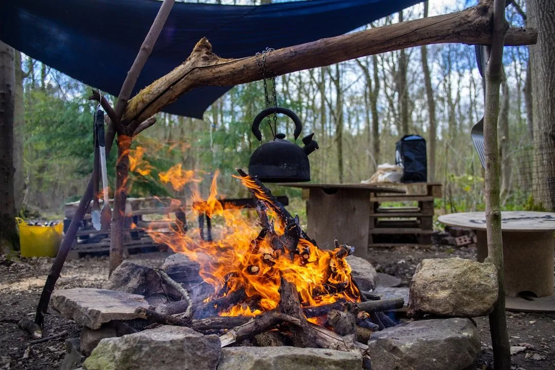 Glamping Stoves Compared: Wood, Gas and Electric